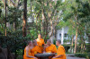 _660309_เตรียมบวช-78 - ณัฐพงศ์ วิภาวิน (ปก) ขนาดใหญ่.jpeg